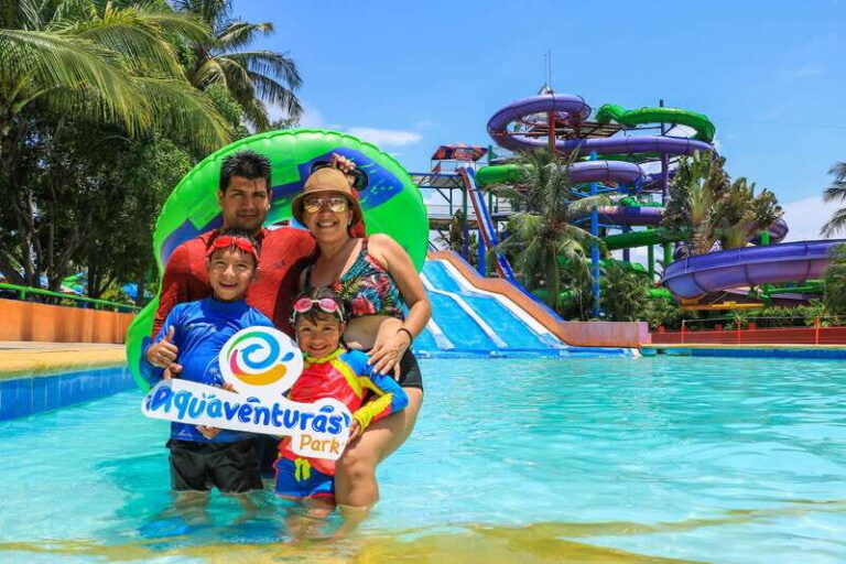 Puerto Vallarta: Sea Lion Discovery - Who Will Enjoy This Tour?