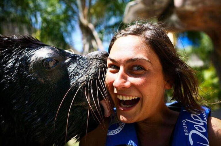 Puerto Vallarta: Sea Lion Discovery at Aquaventuras Park - The Value of Including Park Access