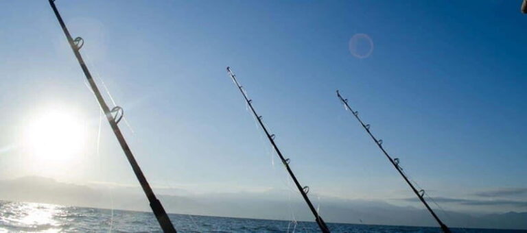 Puerto Vallarta: Shared Fishing - Who Would Enjoy This Tour?