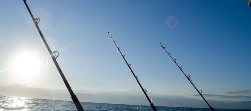 Puerto Vallarta: Shared Fishing - Who Would Enjoy This Tour?