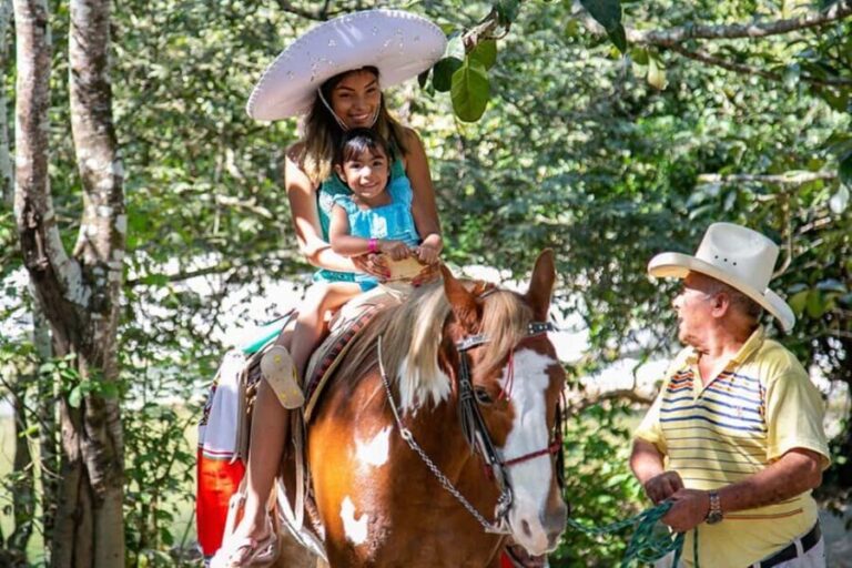 Puerto Vallarta: Tropical Tour - Exploring Puerto Vallarta in Depth