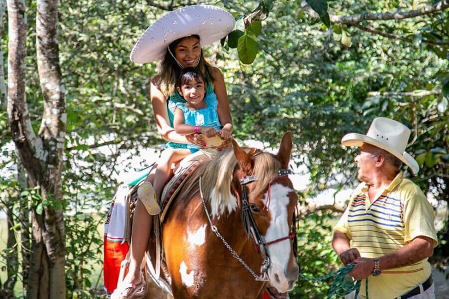 Puerto Vallarta: Tropical Tour - Exploring Puerto Vallarta in Depth