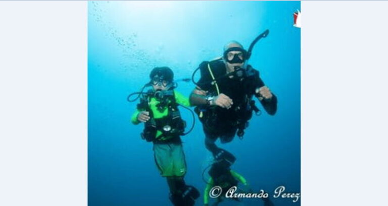 Puerto Vallarta: Underwater Wonderland at Los Arcos - Who Would Love This Tour?