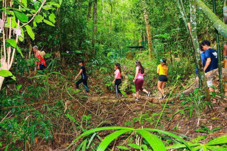 Puerto Vallarta: Vallarta's Botanical Garden by Sea or Land - Why the Tour Excels