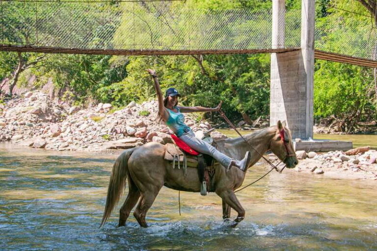 Puerto Vallarta: Wild Tour Horseback Adventure - Final Thoughts: Is this the right adventure for you?