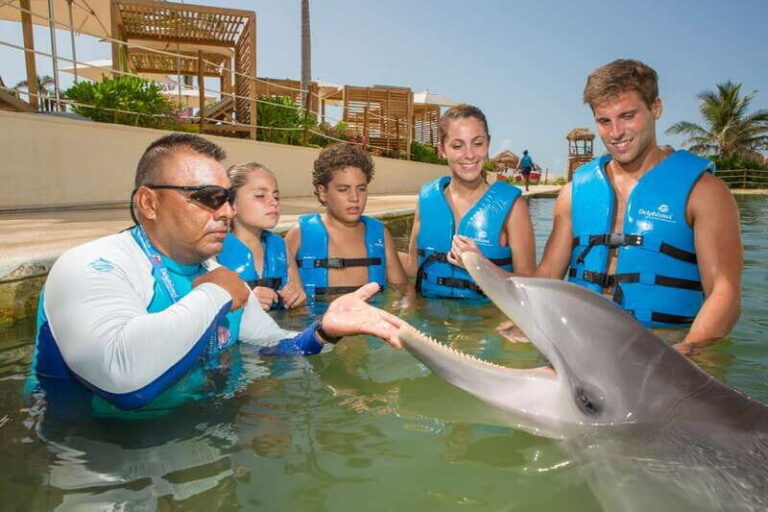Punta Cancun: Swim with dolphins Harmony - A Detailed Look at the Experience