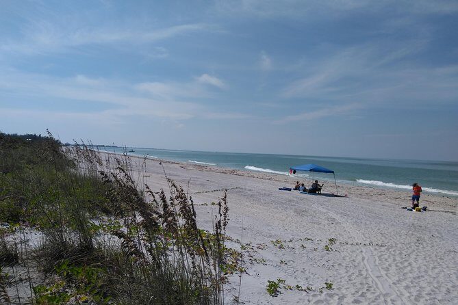Punta Gorda /Boca Grande Four Hour Beach Day/ Cayo Costa Beach - What Makes This Tour Stand Out?