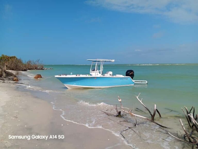 Punta Gorda: Gulf Coast Sunset Cruise - Who Would Love This Experience?
