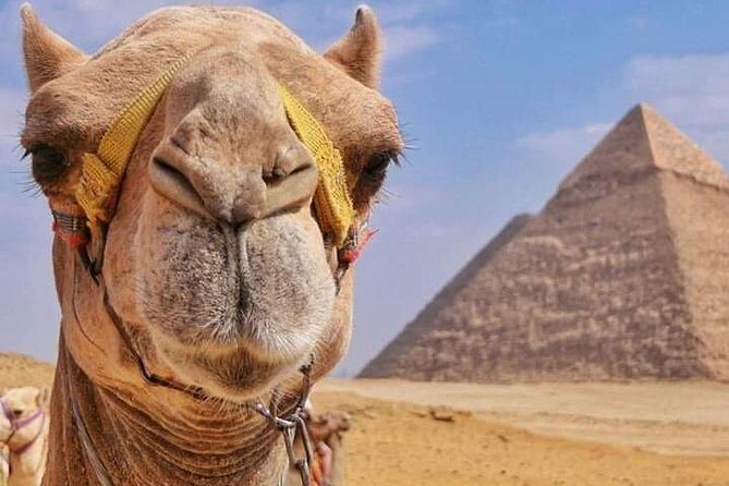 Pyramids & Camel Tour - The Experience from Travelers’ Perspectives