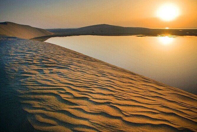 Qatar Desert Safari, Dune Bashing (Private Safari Tour) - The Desert Safari Camel Ride (Optional)
