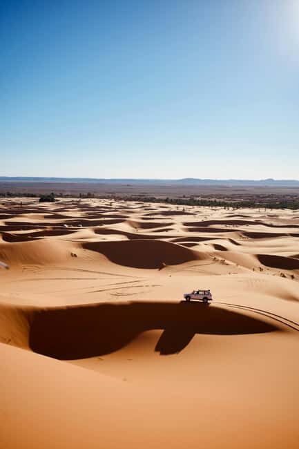 Qatar Desert Safari Tours - Paying for Value: Is It Worth It?