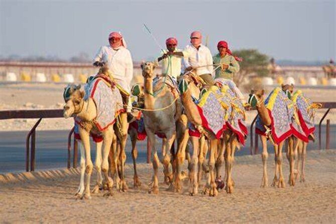Qatar West Coast Zkreet Richard Sierra Camel Track Rock Formation - What Makes This Tour Stand Out