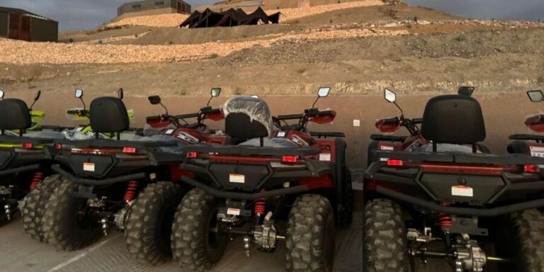 Quad Adventure with Berber Lunch and Pool Oasis - The Argan Oil Cooperative Stop