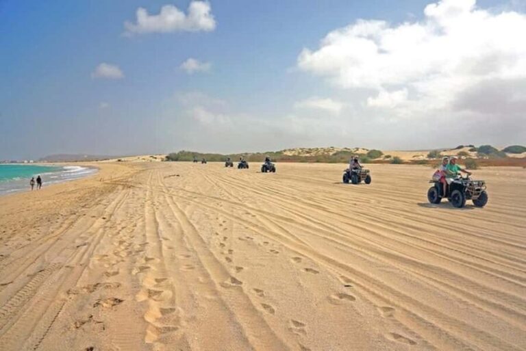 Quad Bike & Desert Sandboarding With Tea & BBQ Dinner - Who Will Love This Experience?