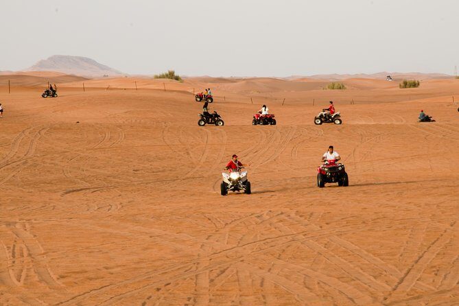 Quad Bike Guided Desert Tour - Who Will Love This Tour?
