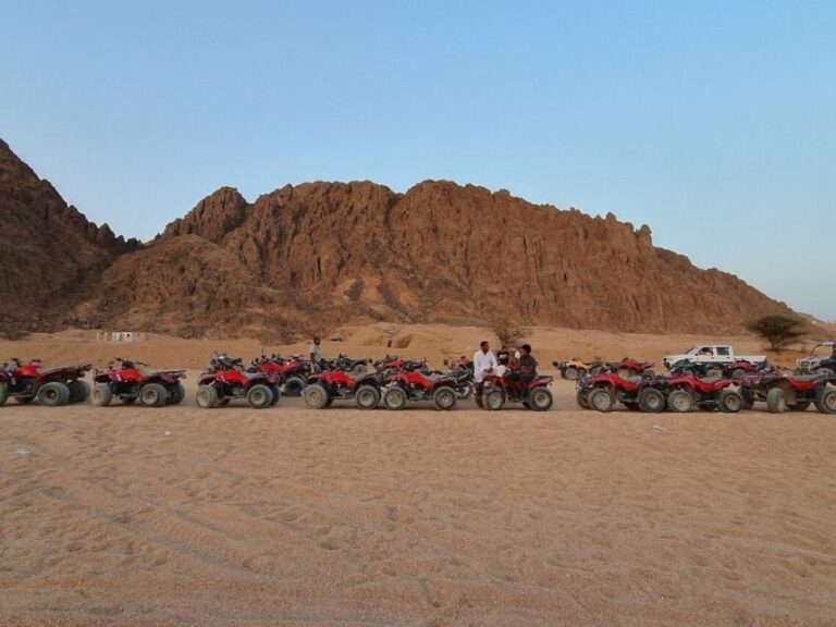 Quad Biking Tour in Sharm El Sheikh Desert - Authentic Feedback from Travelers