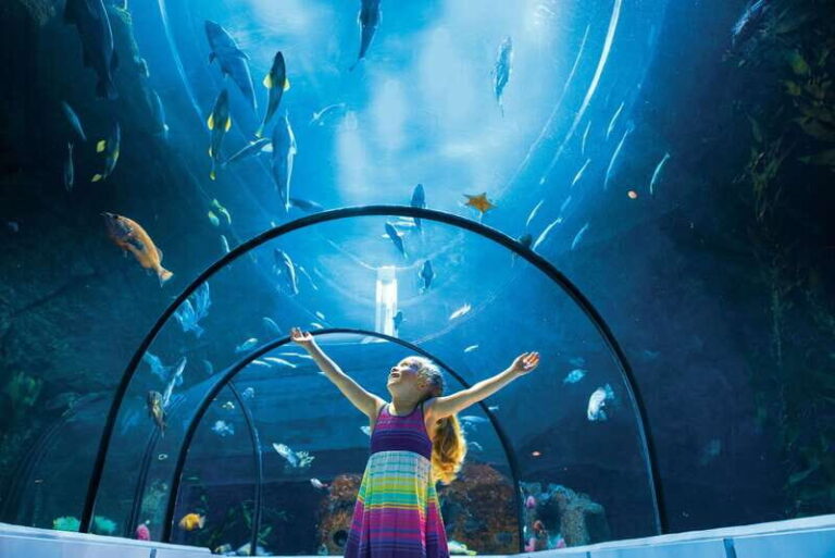 Quebec: Aquarium du Quebec Entry Ticket - Practical Details and Logistics
