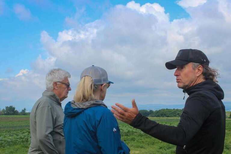 Quebec City - Agricultural Walking Tour on Ile d'Orléans - The Overall Experience: What Travelers Say