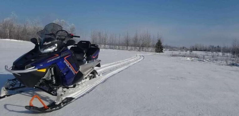 Quebec City: Guided Snowmobile Tour - Who Would Love This Tour?
