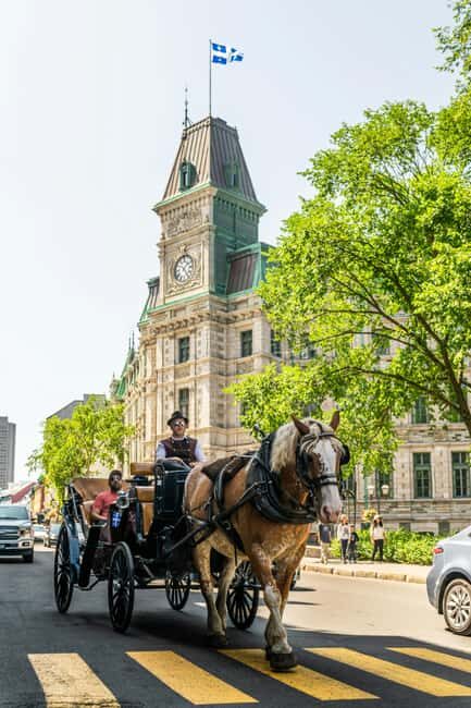 Québec City: Private City Tour - Who Should Consider This Tour?