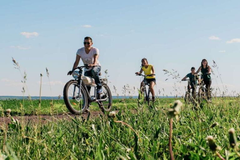 Quebec City - Regular Bike Rental on Ile d'Orléans - The Experience for Different Types of Travelers