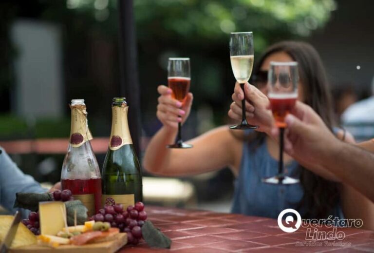 Querétaro: Art, Cheese and Wine Route - Vineyard Visit: A Taste of Artisanal Mexican Wine and Cheese