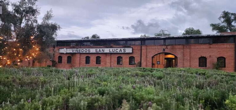 Querétaro: Independence Valley - Guanajuato Wine Tour - Practical Tips for Travelers