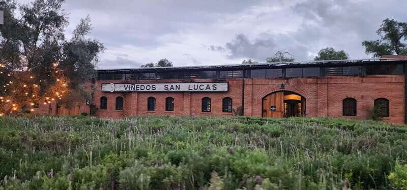Querétaro: Independence Valley - Guanajuato Wine Tour - Practical Tips for Travelers