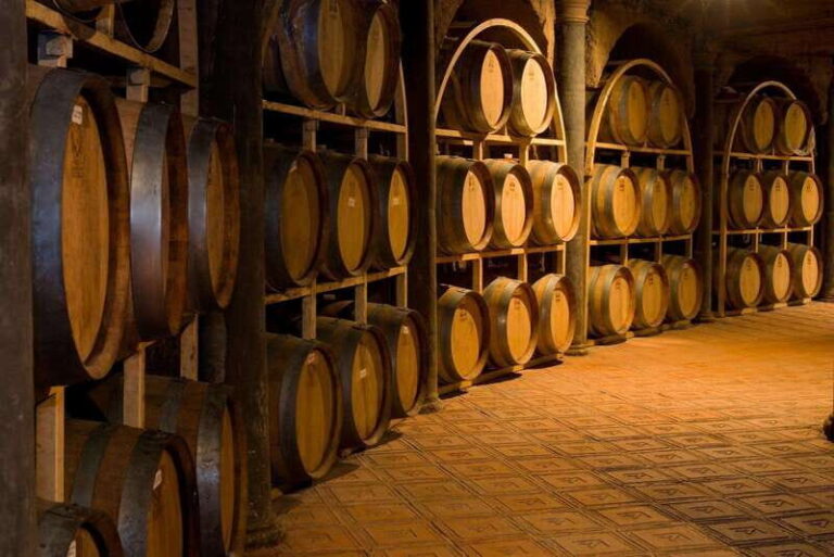 Querétaro: San Miguel & Wine In A Day. - What Makes This Tour Stand Out?