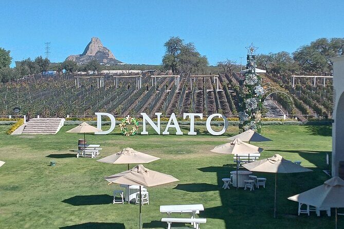 Queretaro Wine Experience - What’s Included and What’s Not