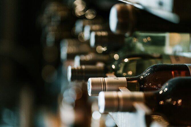 Queretaro Wine & Peña de Bernal Experience from Mexico City - Who Is This Tour Best For?
