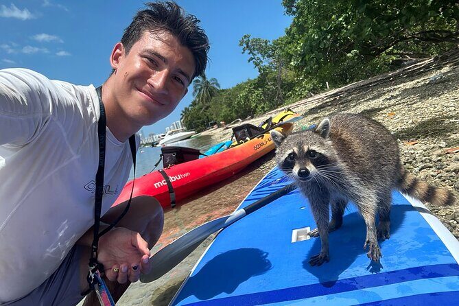 Raccoon Island Exploration on SUP/Kayak - Final Thoughts