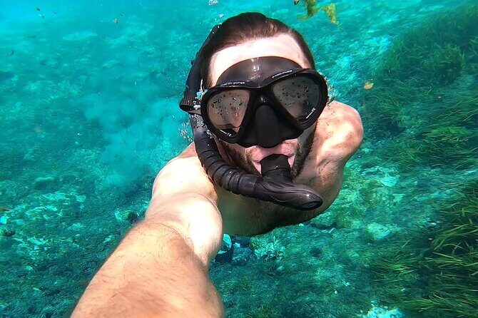 Rainbow River: 8AM & 3PM Snorkel or Scenic Wildlife Cruise - What Travelers Say
