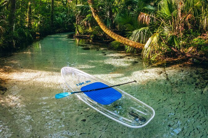 Rainbow Springs: Clear Kayak & Snorkel Eco Tour - FAQ
