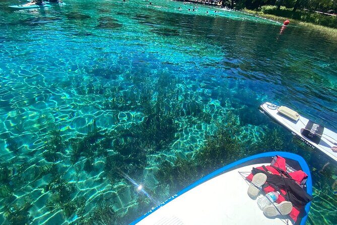 Rainbow Springs Electric Paddle Board Rentals - A Closer Look at the Experience