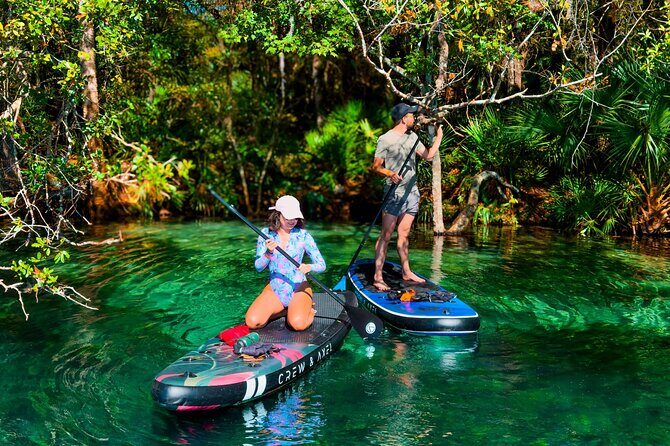 Rainbow Springs Paddle Adventure - The Price and Value