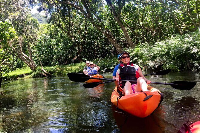 Rainforest River Kayak Self-Guided Kayak Tour - Final Thoughts