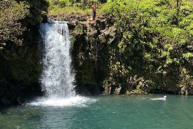 Rainforest Tour to Hana and Beyond - Who Will Love This Tour?