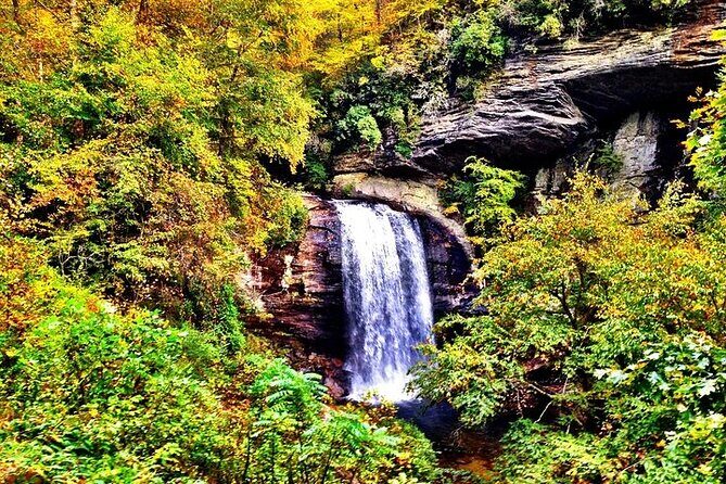 Rainforests and Waterfalls of Western NC - What We Loved: The Practical Benefits