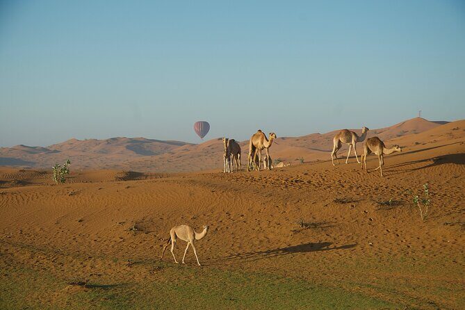 RAK Hot Air Balloon Flight - The Itinerary in Detail