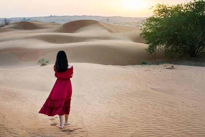 Ras Al-Khaimah: Desert Safari Fun & Adventure Trip with Dinner - A Closer Look at the Itinerary