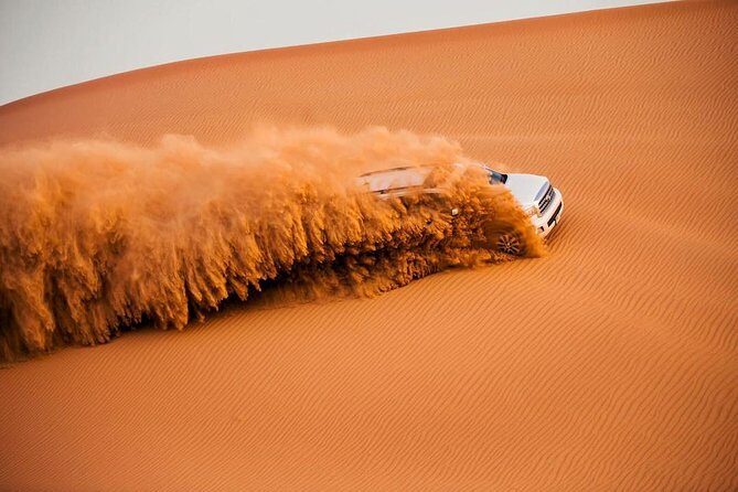 Red Dune 4x4 Desert Safari with Camel ride & BBQ Dinner - Who Should Consider This Tour?