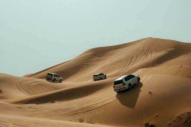 Red Dune Desert Safari Tour with Camel Ride & BBQ Experience - The Itinerary in Detail