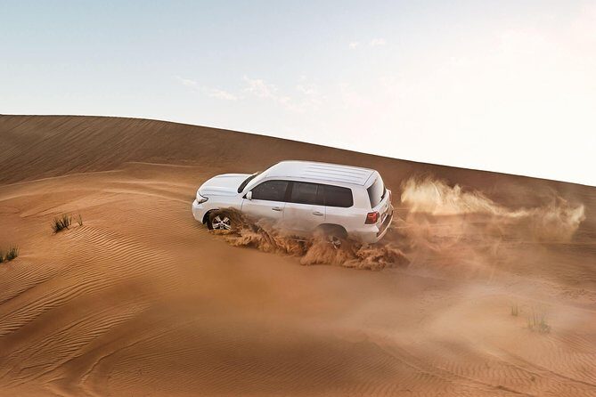 Red Dune Desert Safari with BBQ Dinner, Sand Boarding Dance Shows - What Travelers Love and Consider
