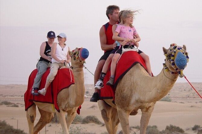 Red Dune Desert Safari with Dinner Quad Bike and Camel Ride - Who Is This Tour Best For?