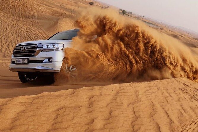 Red Dune Safari Adventure with BBQ Dinner Experience - Authentic Experience or Tourist Safari?