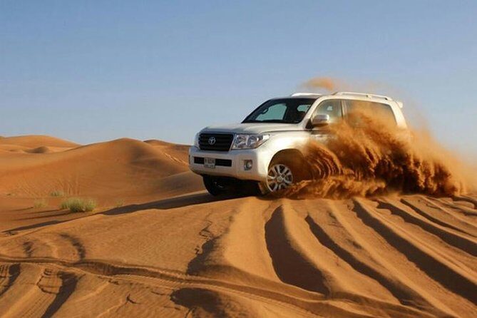 Red Dunes Dubai Desert Safari with Live show, Sandboarding & BBQ - Practical Considerations and Tips