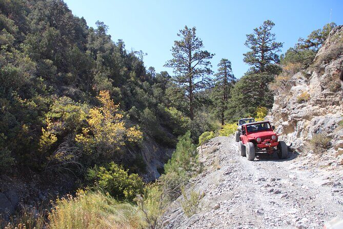 Red Rock Canyon Half Day Jeep Tour Offroad Adventure - Analyzing the Price and Value