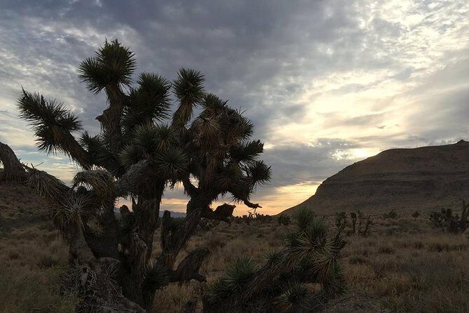 Red Rock Canyon Sunset Horseback Ride and Barbeque Dinner - Authentic Cowboy Hospitality