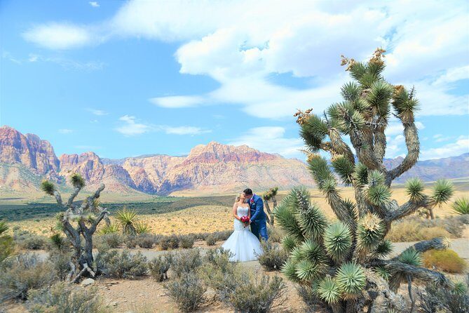 Red Rock Canyon Wedding by Private Limousine - Transportation and Group Size